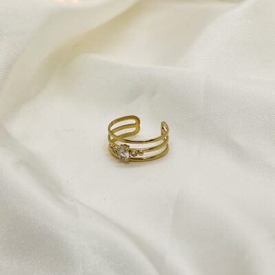 Bague Bharani