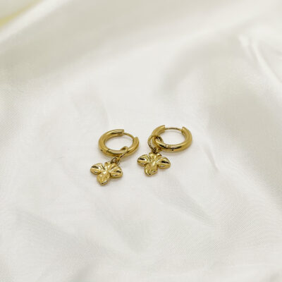 Boucles Izar
